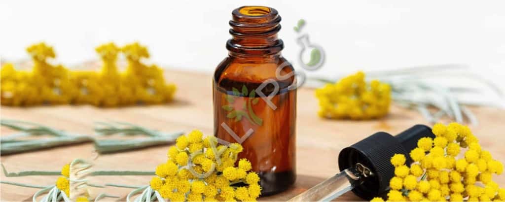 Helichrysum olie in de buurt van mij